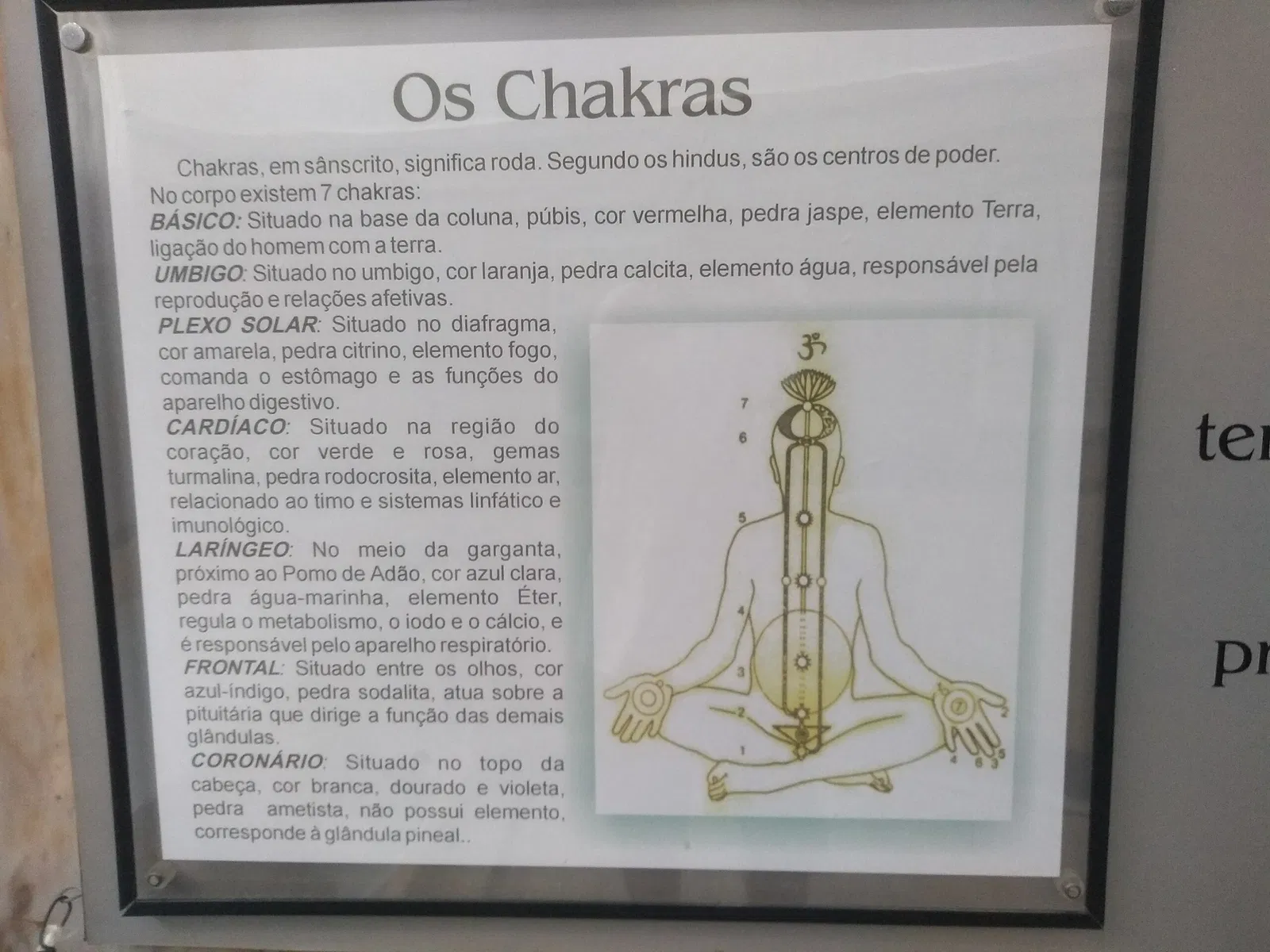 Bahia Geological Museum