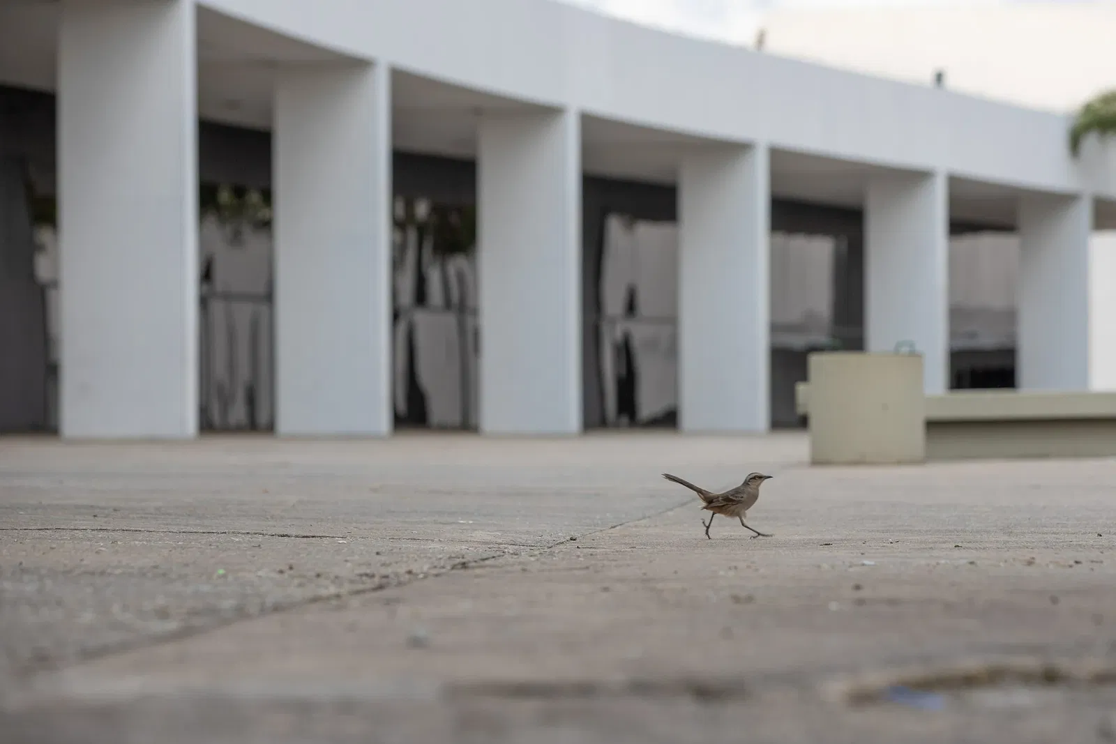 Latin America Memorial