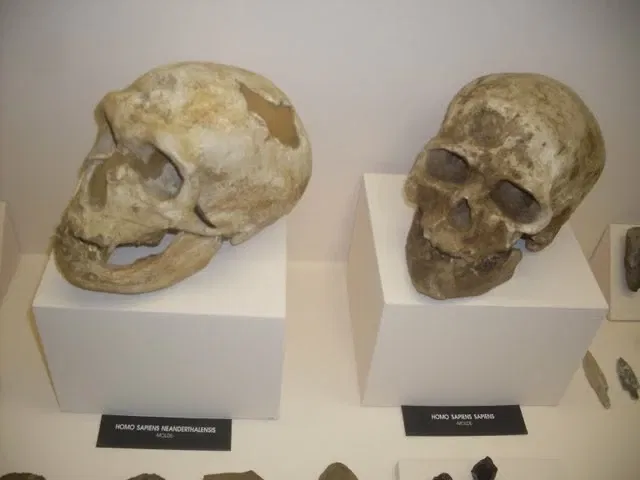 Museum of Archeology and Ethnology