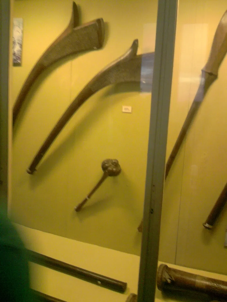 Musée national de l'université fédérale de Rio de Janeiro