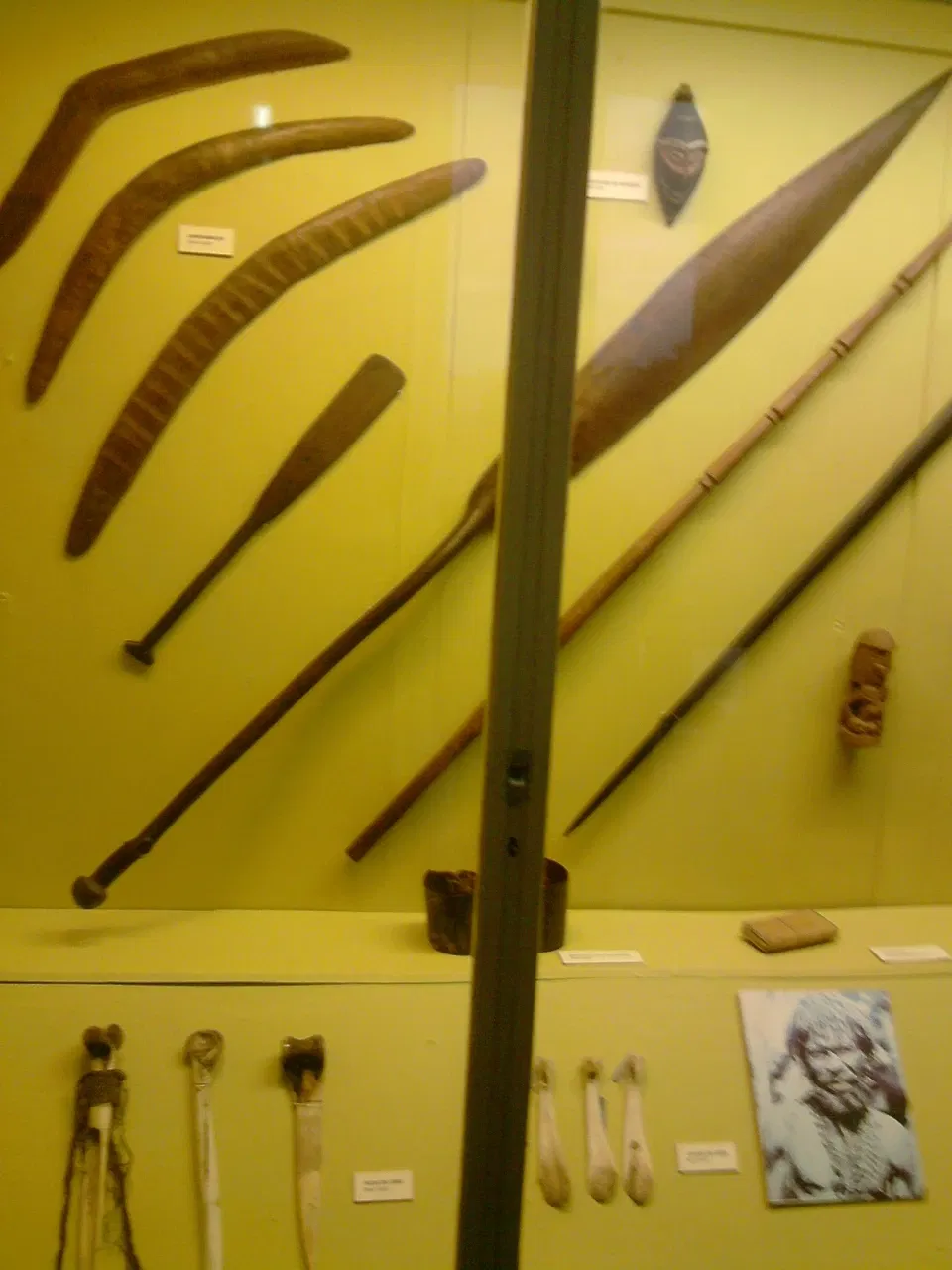 Musée national de l'université fédérale de Rio de Janeiro