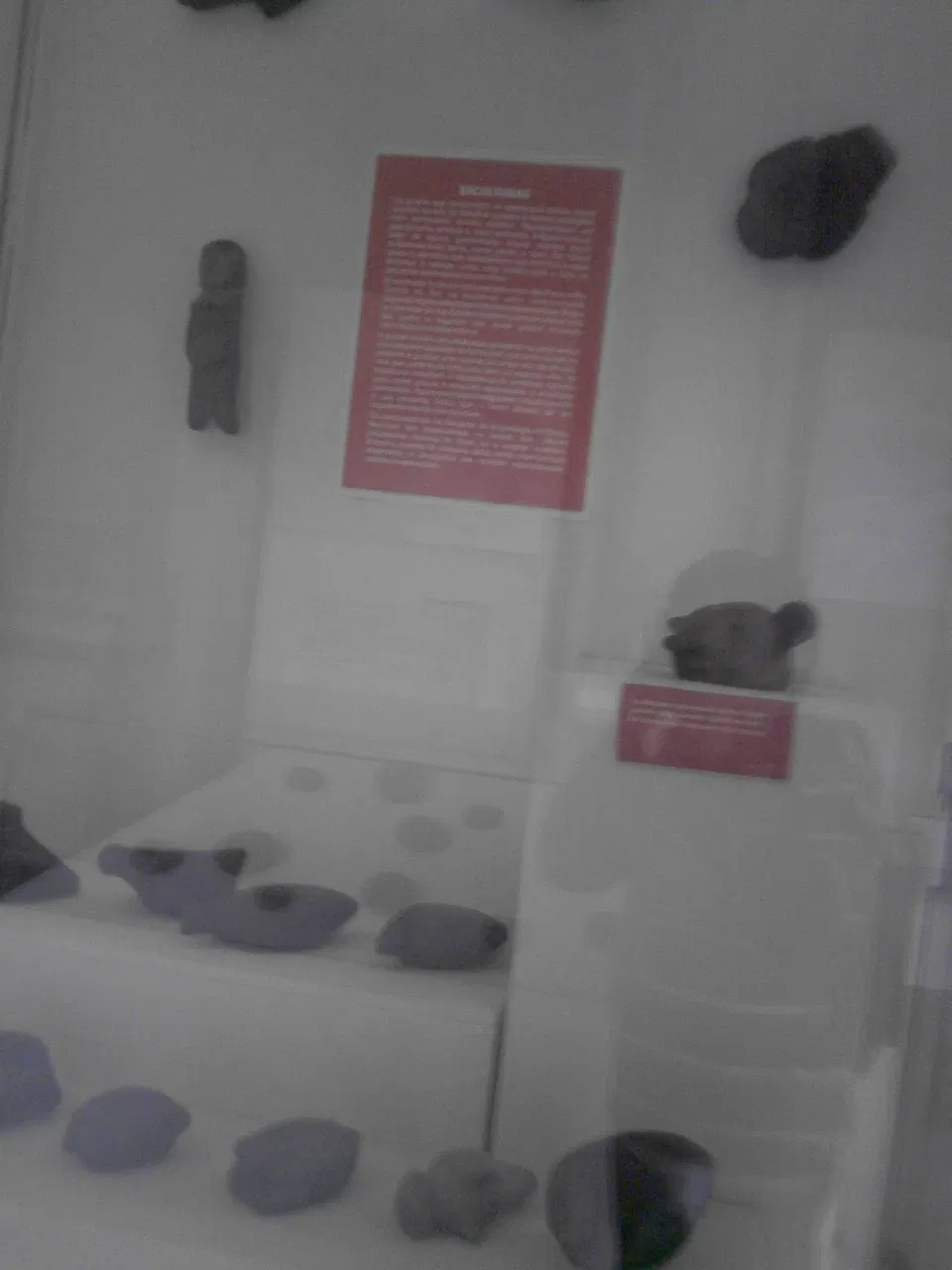 Nationaal Museum van Brazilië