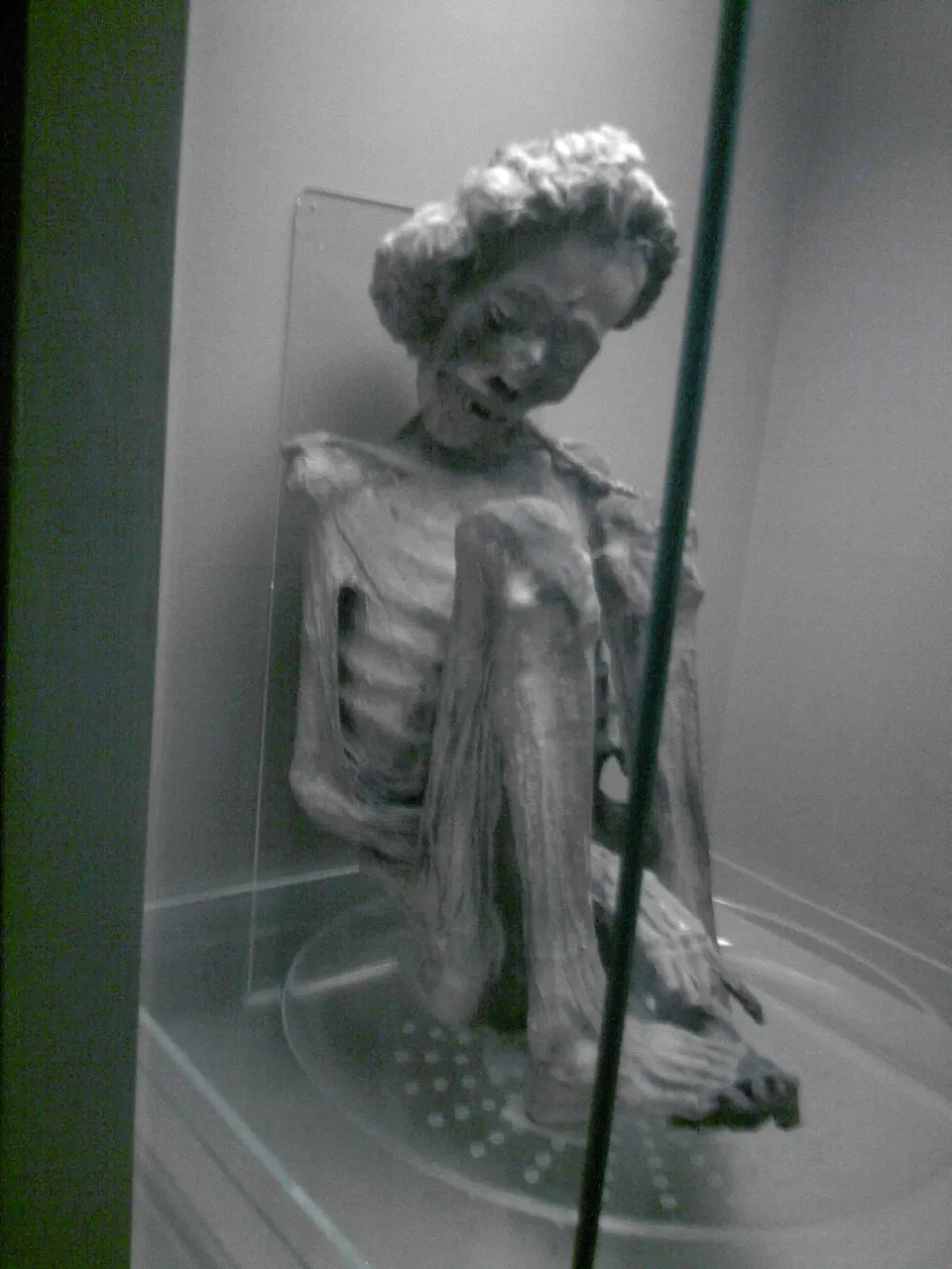 Nationaal Museum van Brazilië