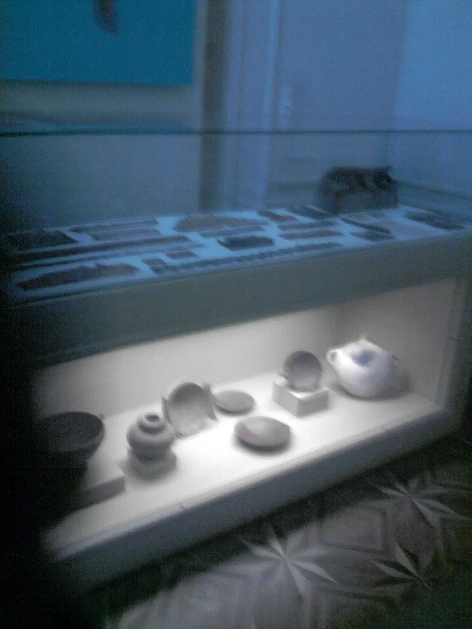 Nationaal Museum van Brazilië