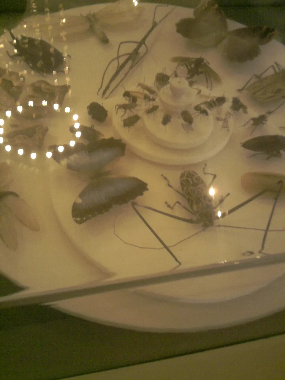 Museo Nacional de Brasil