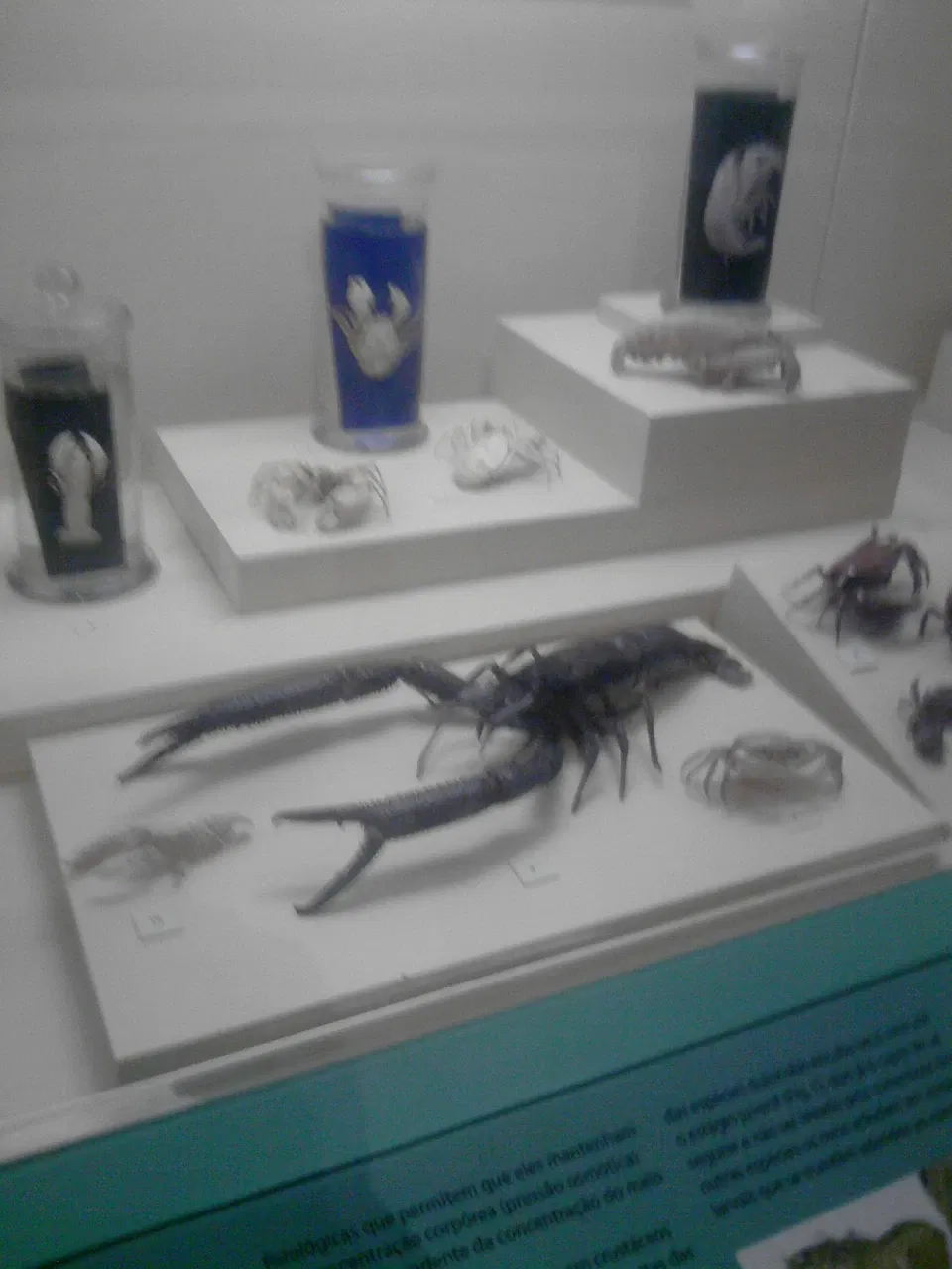 Museu Nacional da Universidade Federal do Rio de Janeiro