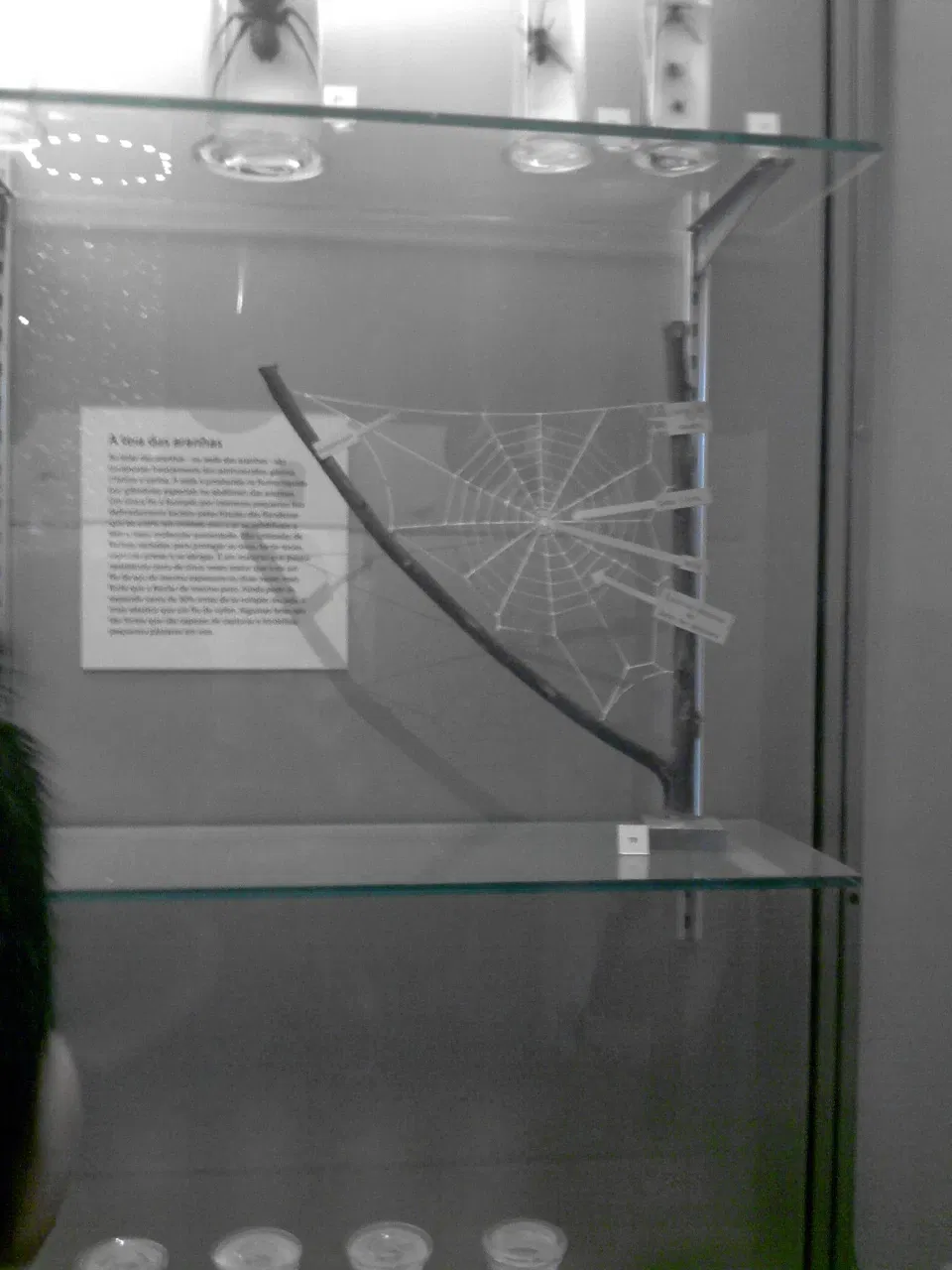 Museu Nacional da Universidade Federal do Rio de Janeiro