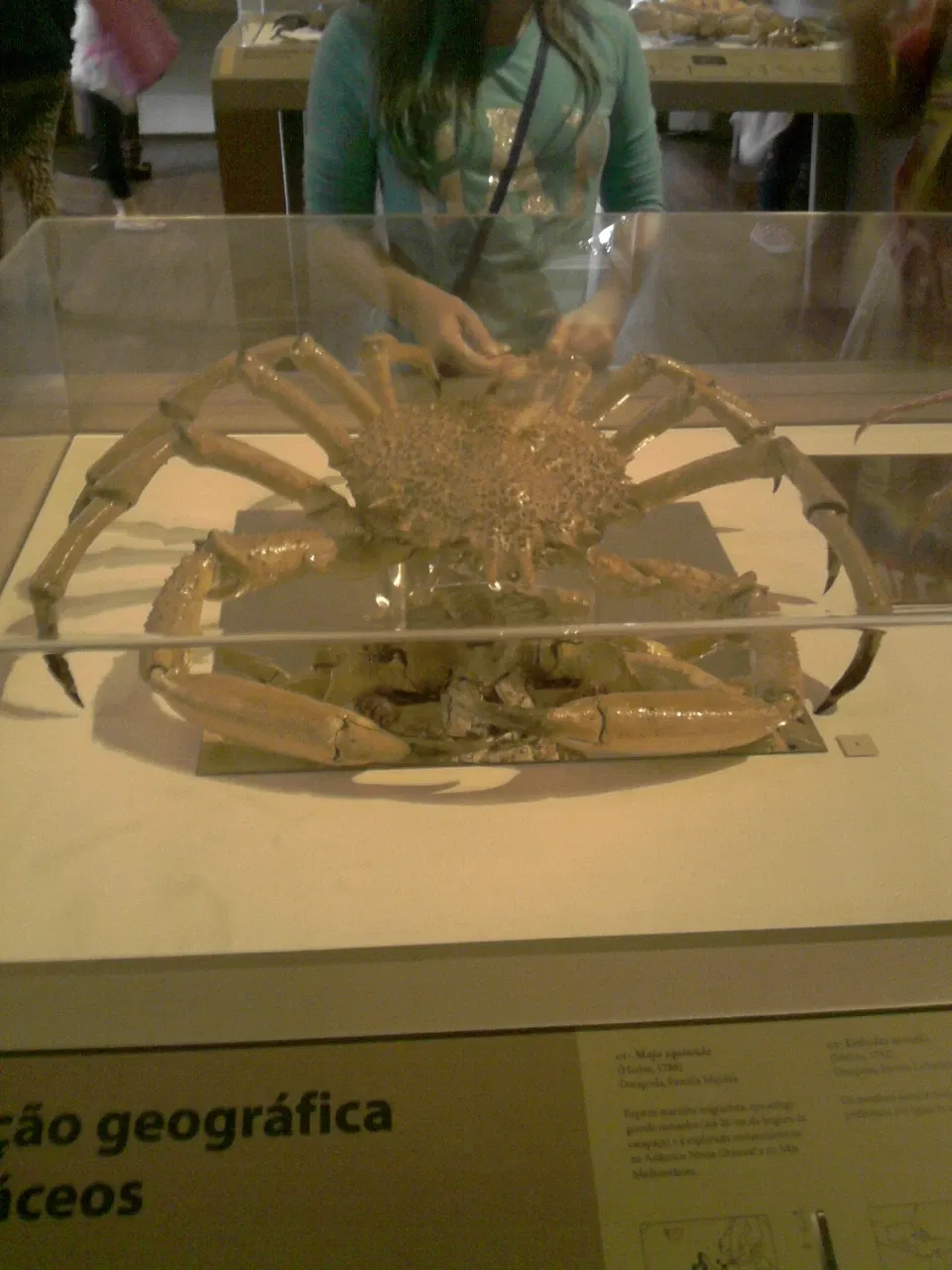 Museo Nacional de Brasil