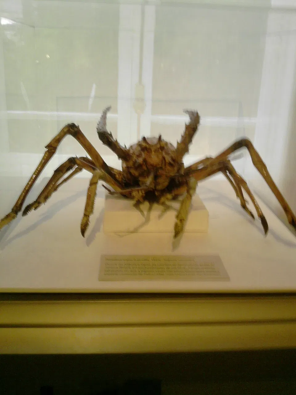 Nationaal Museum van Brazilië