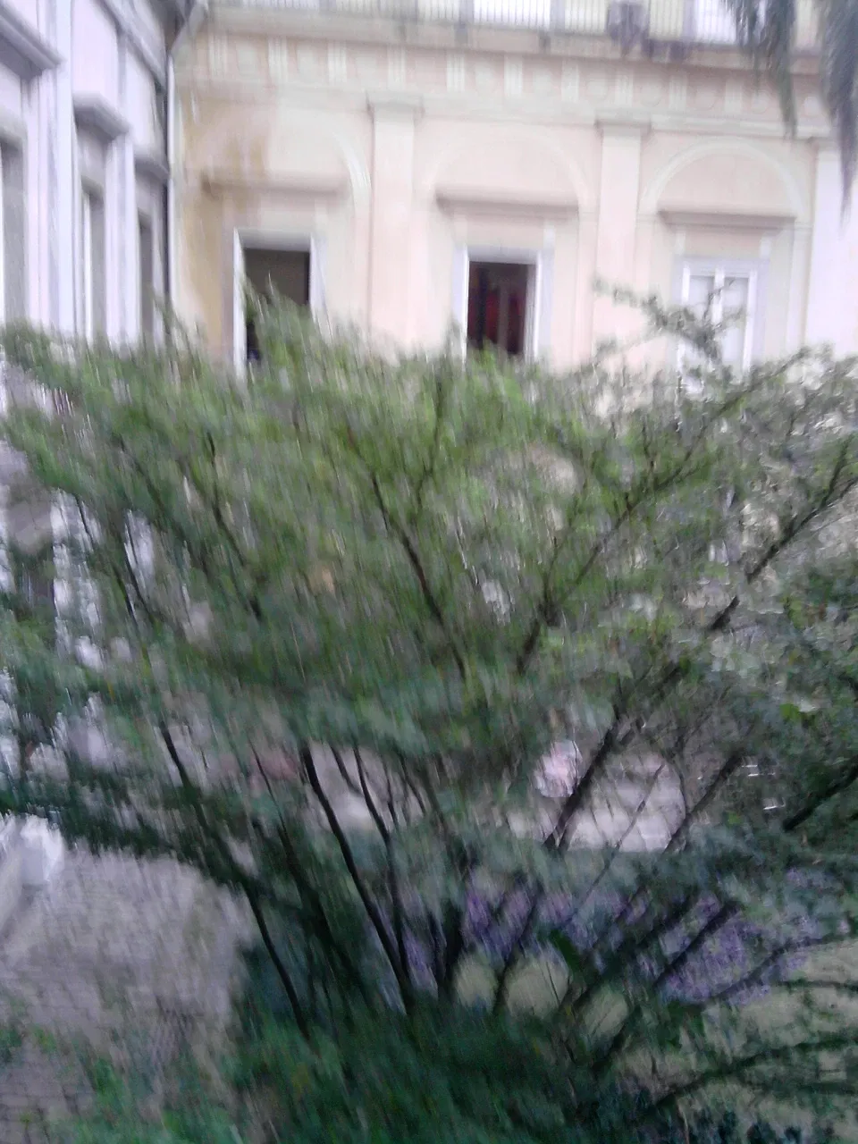 Museo Nacional de Brasil