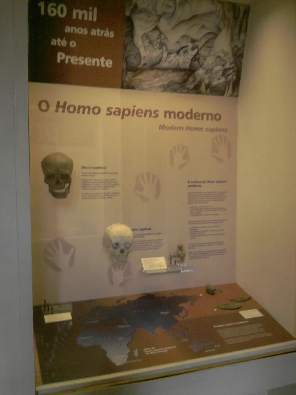 Museo nazionale del Brasile