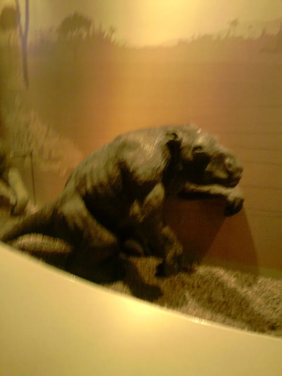 Museo Nacional de Brasil