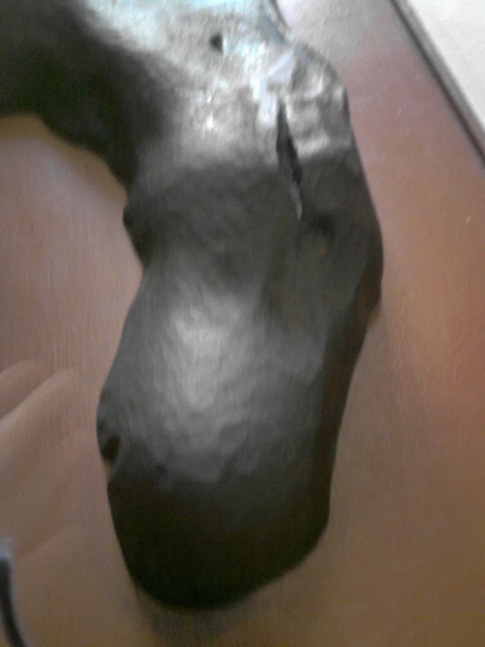 National Museum of Brazil