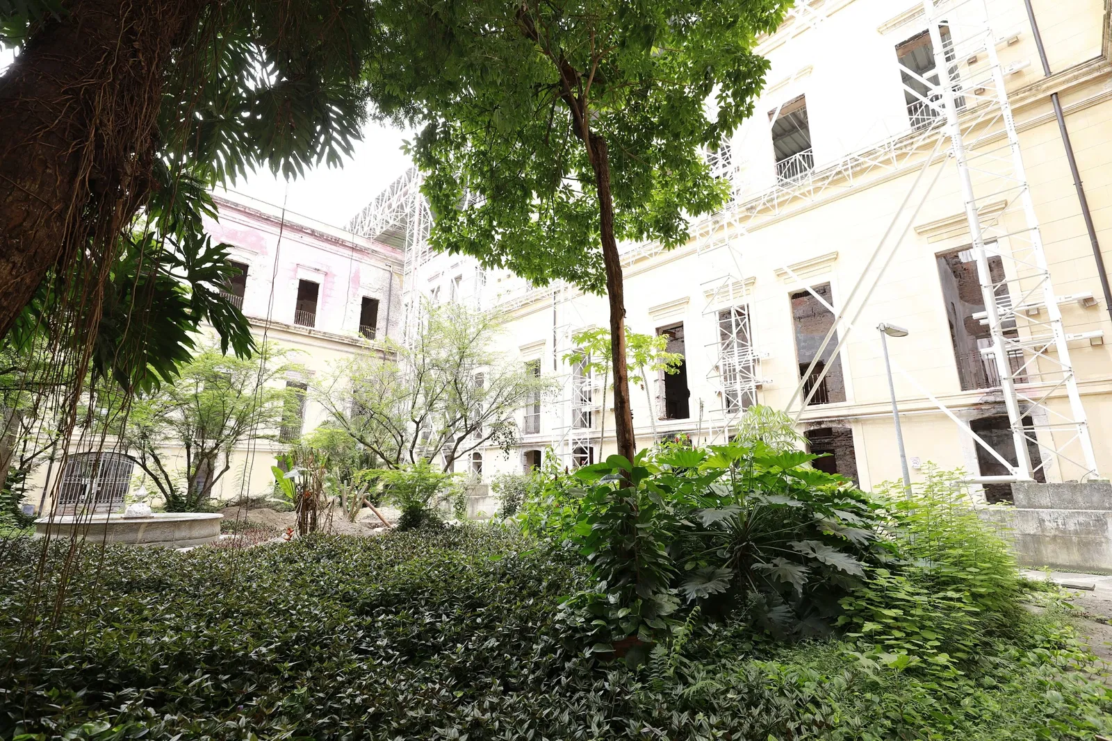 Musée national de l'université fédérale de Rio de Janeiro
