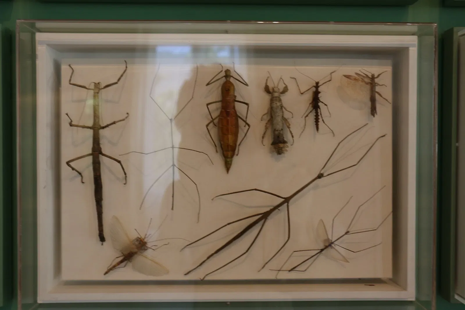 Museu Nacional da Universidade Federal do Rio de Janeiro