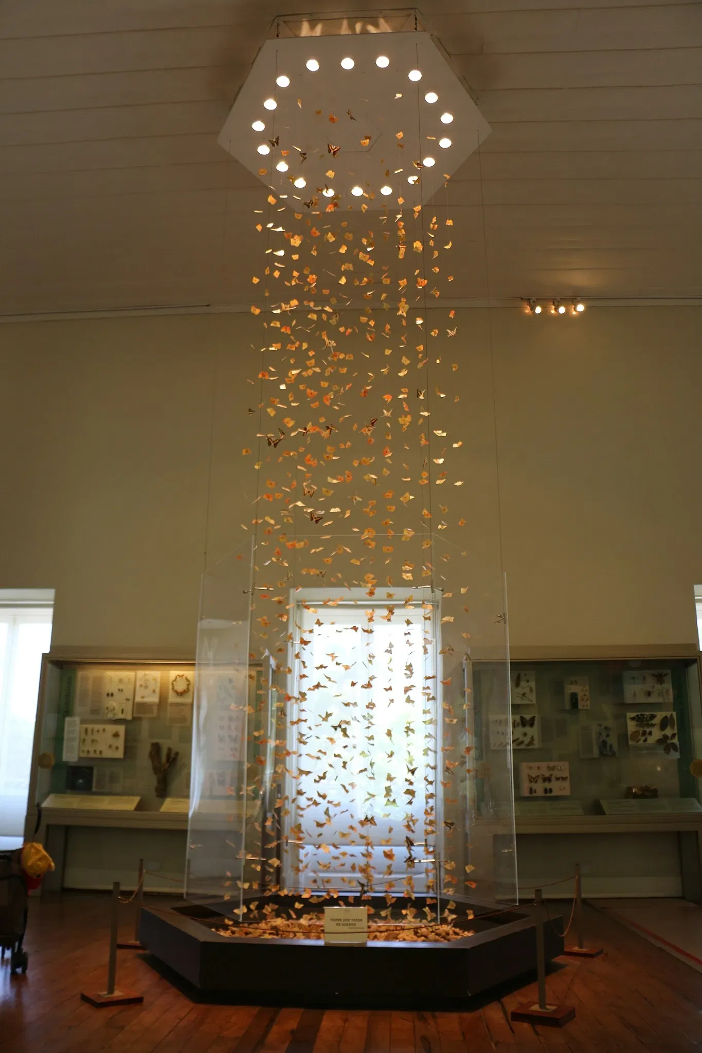 Museo Nacional de Brasil