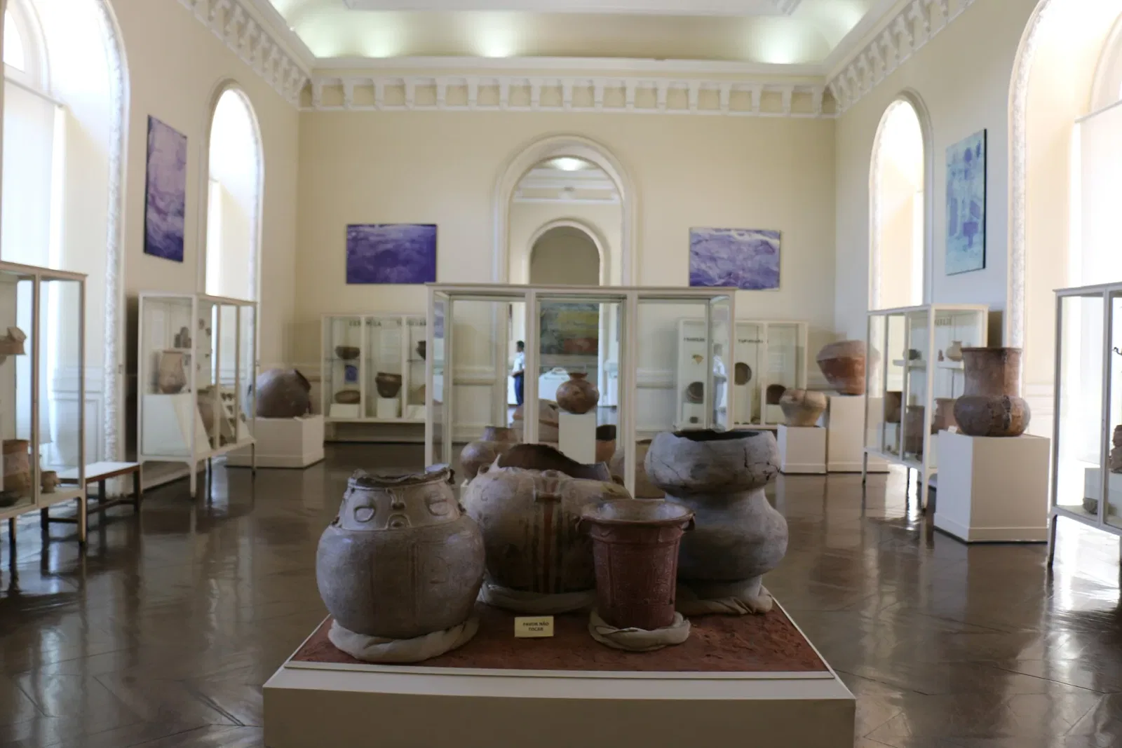 Nationaal Museum van Brazilië