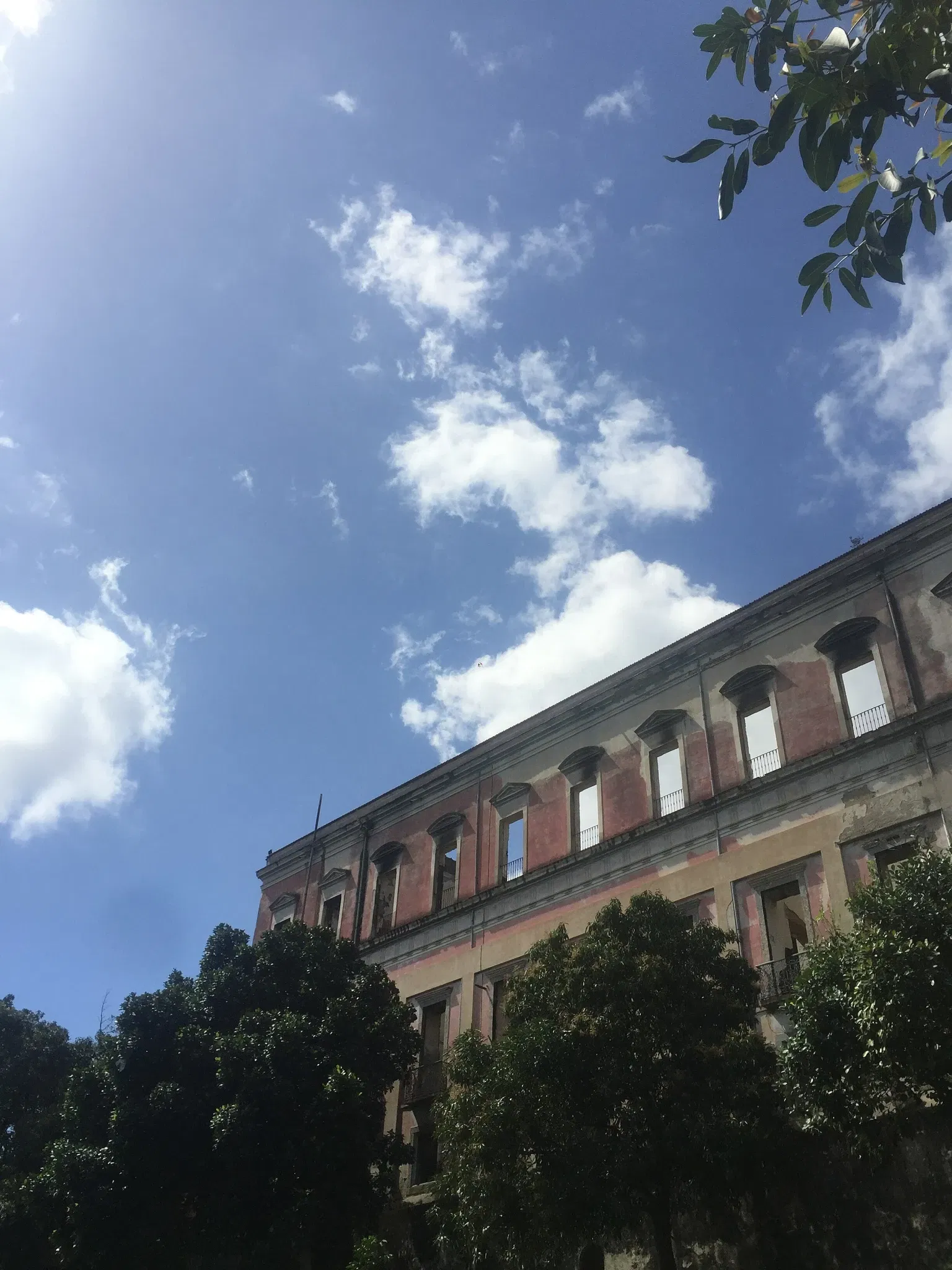 Musée national de l'université fédérale de Rio de Janeiro