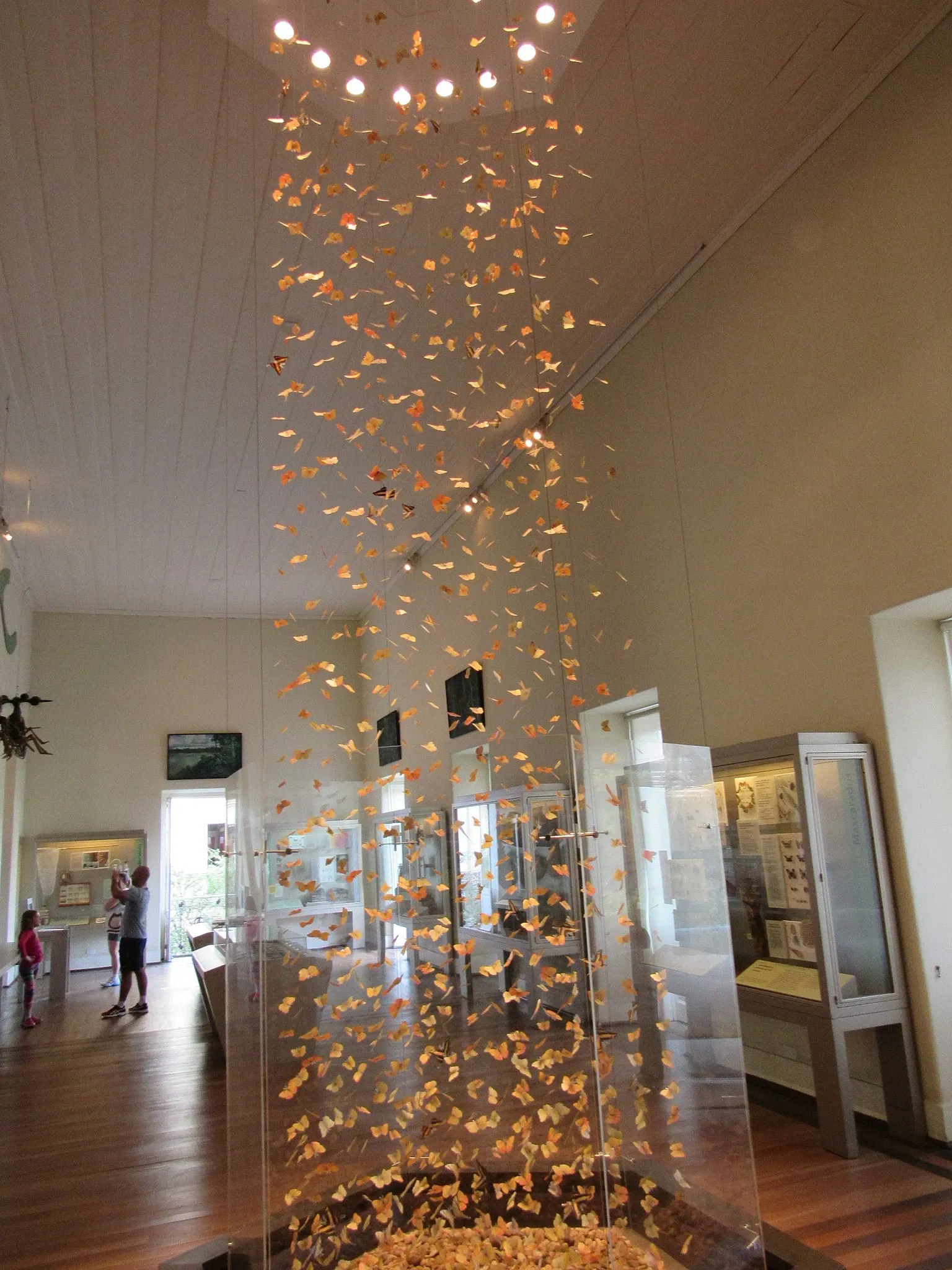 Museo nazionale del Brasile