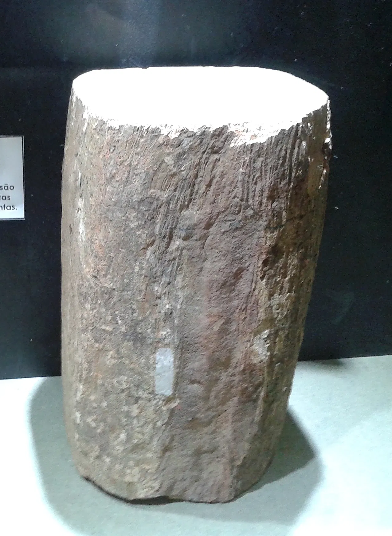 Museo Nacional de Brasil