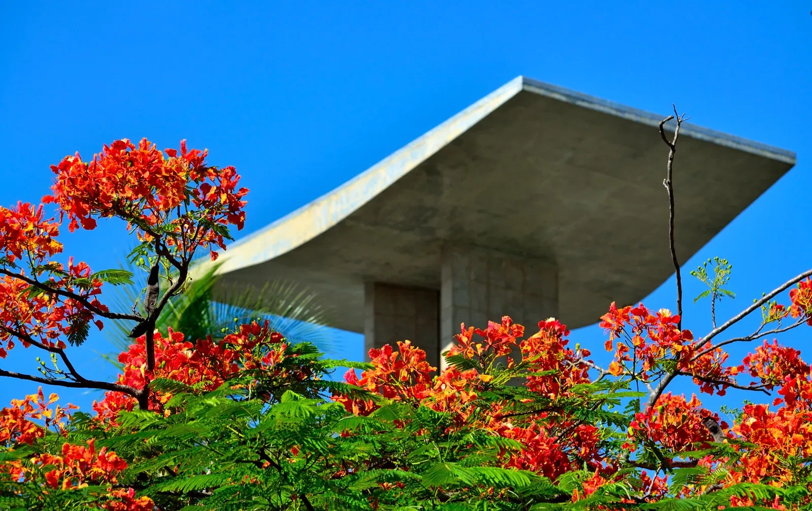 Monument to the Dead of World War II