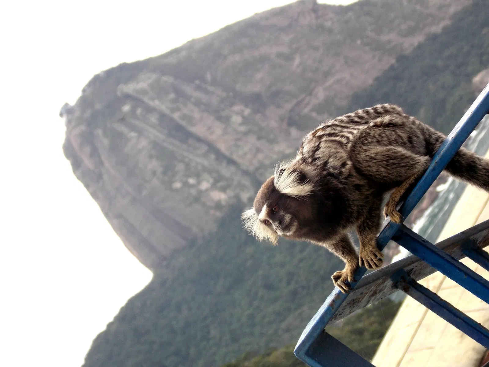 Duque de Caxias Fort