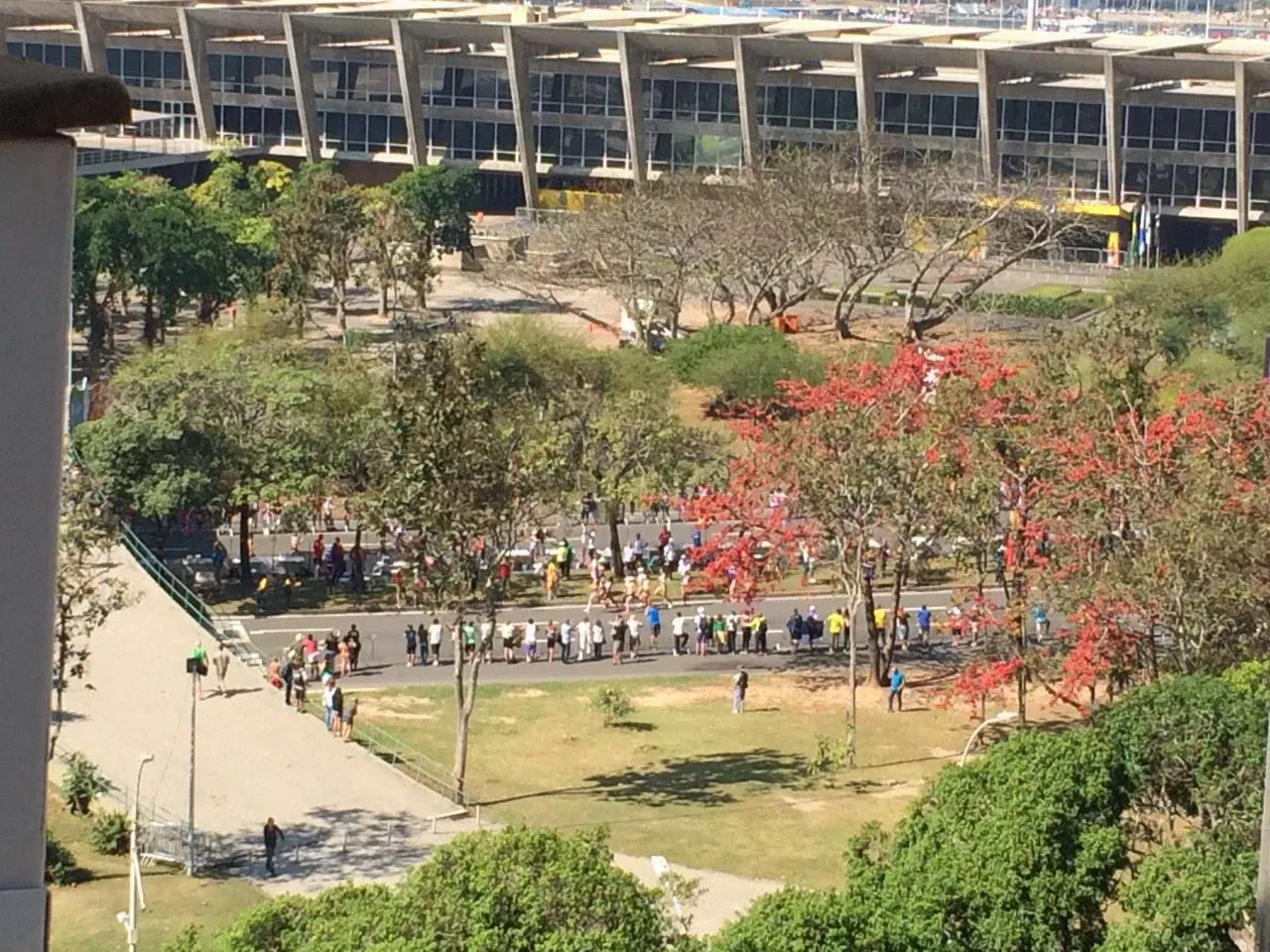 Museu de Arte Moderna do Rio de Janeiro