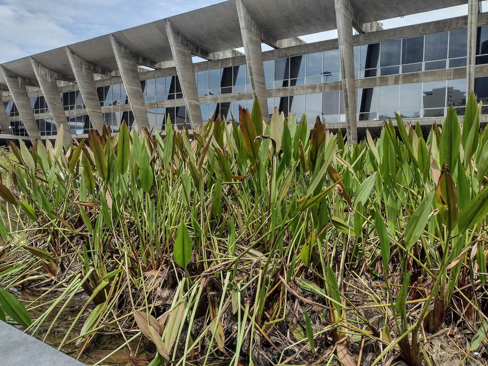 Museu de Arte Moderna do Rio de Janeiro