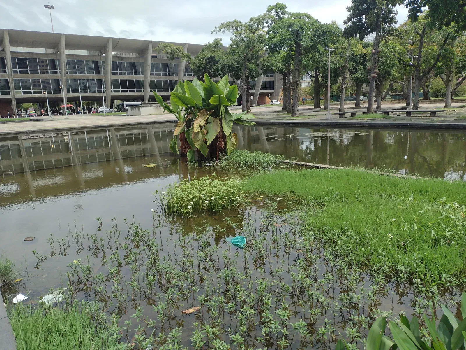 Museo de Arte Moderno de Río de Janeiro
