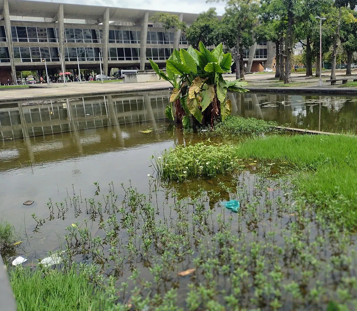 Museo de Arte Moderno de Río de Janeiro