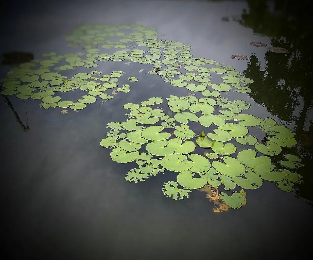 Museo de Arte Moderno de Río de Janeiro