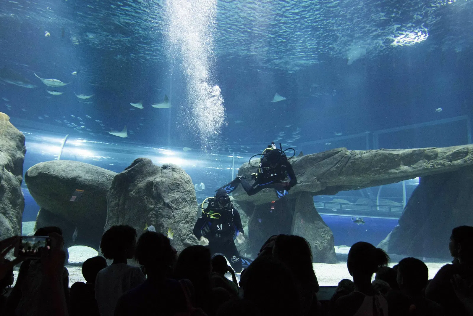 Marine Aquarium of Rio de Janeiro