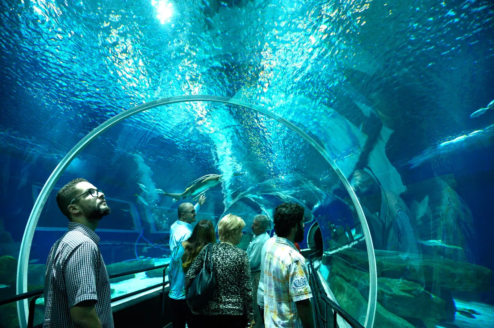 Marine Aquarium of Rio de Janeiro