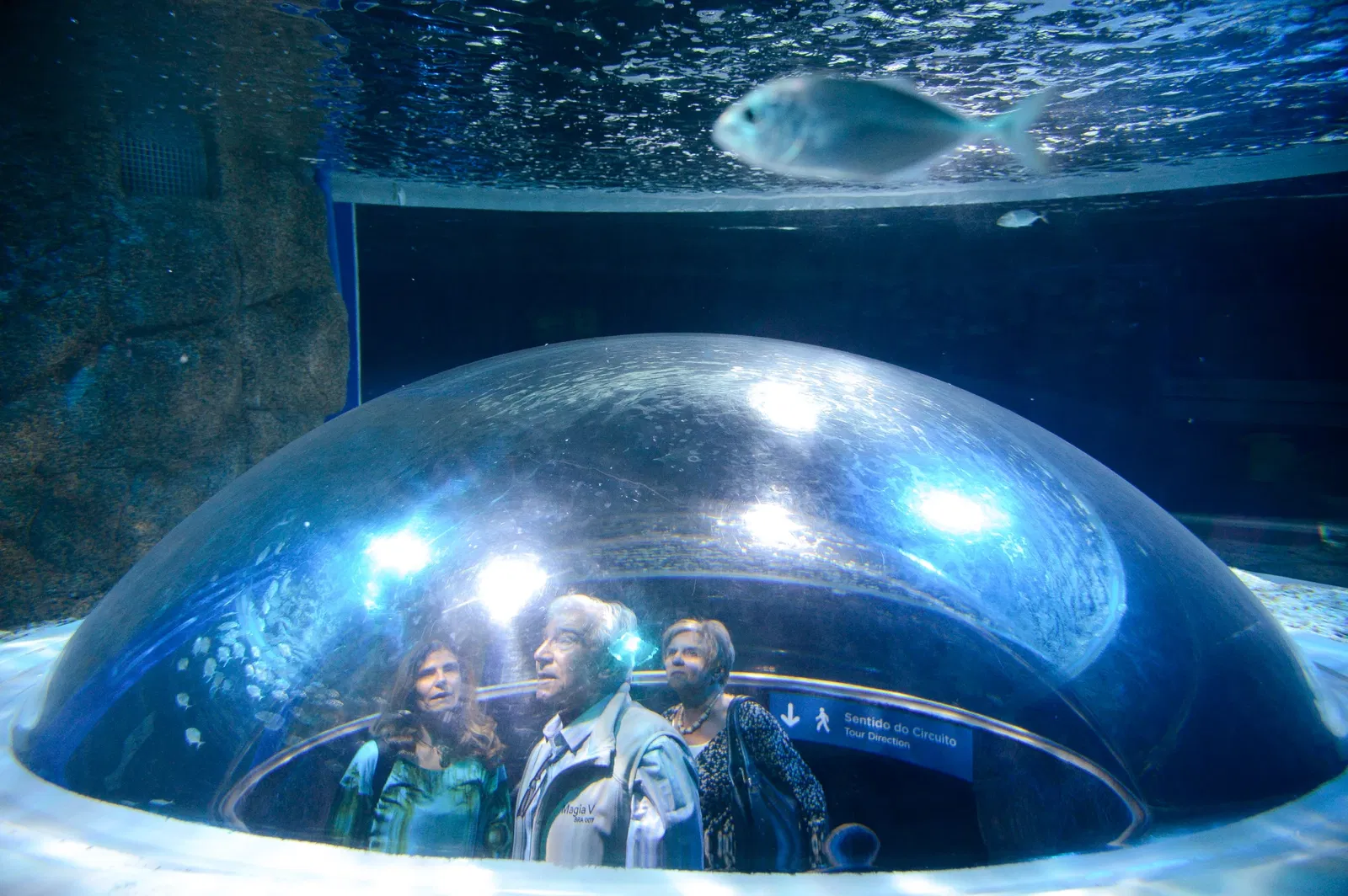 Marine Aquarium of Rio de Janeiro