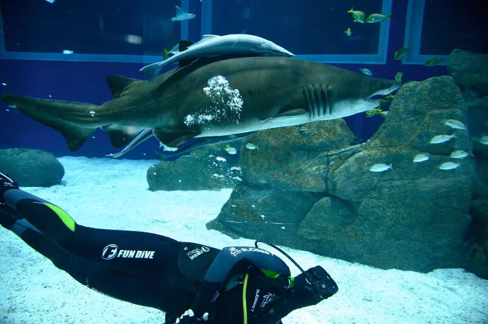 Marine Aquarium of Rio de Janeiro