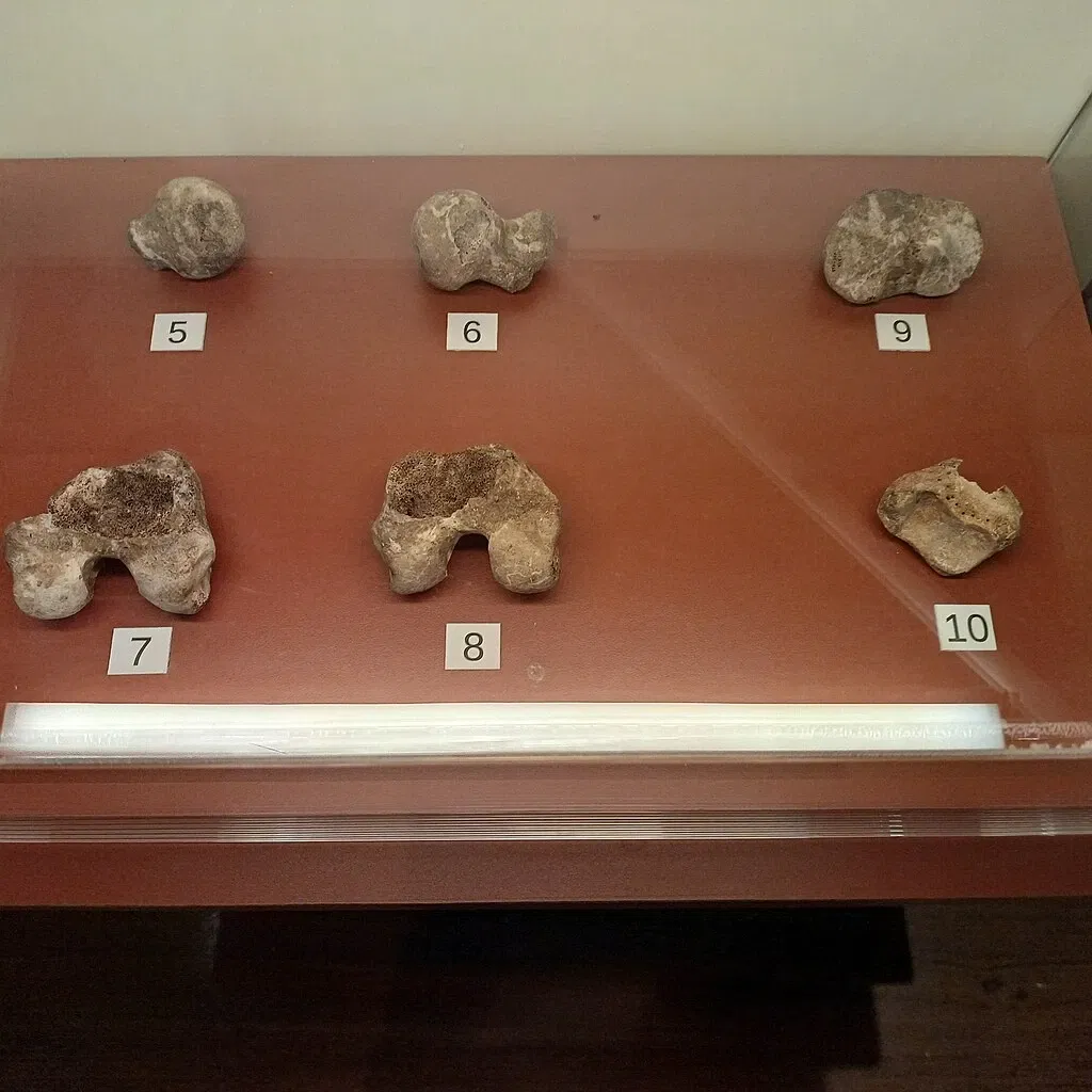 Museu Histórico Nacional (Brasilien)