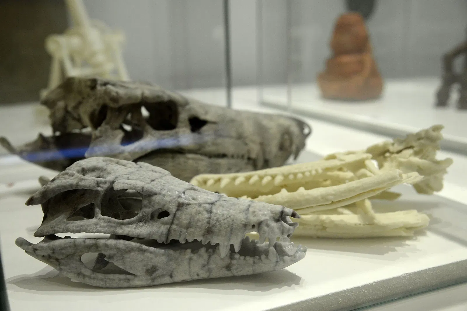 Museum of Astronomy and Related Sciences