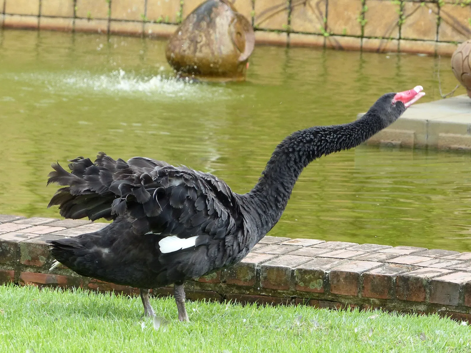 Oficina Cerâmica Francisco Brennand