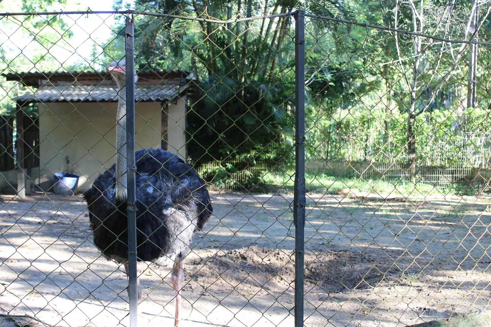 Zoo Botanical Park Dois Irmãos