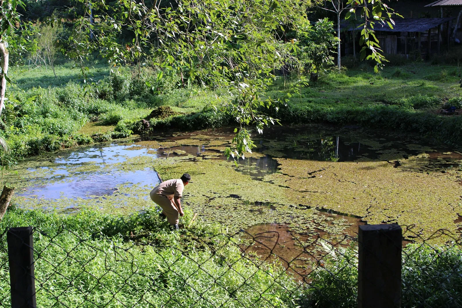 Zoo Botanical Park Dois Irmãos