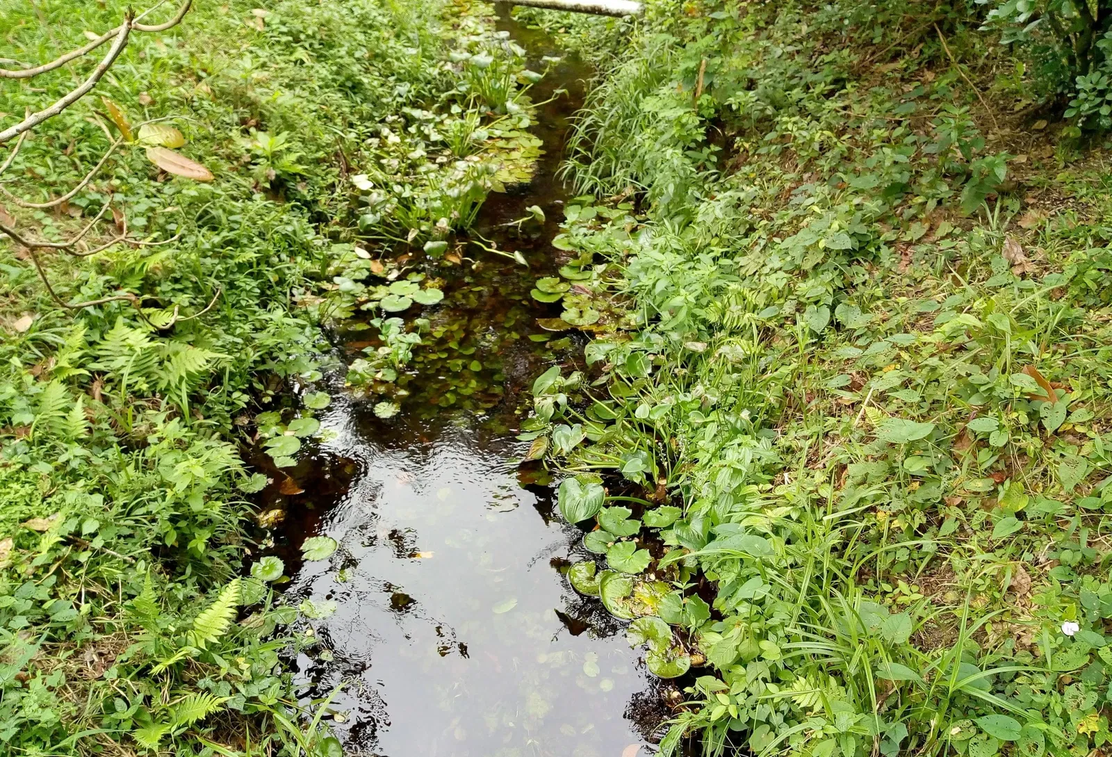 Zoo Botanical Park Dois Irmãos