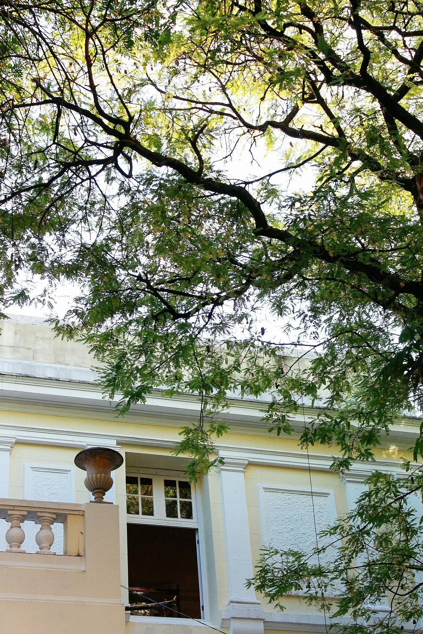 Museo del Estado de Pernambuco