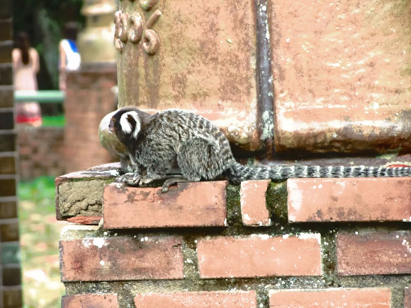 Ricardo Brennand Institute