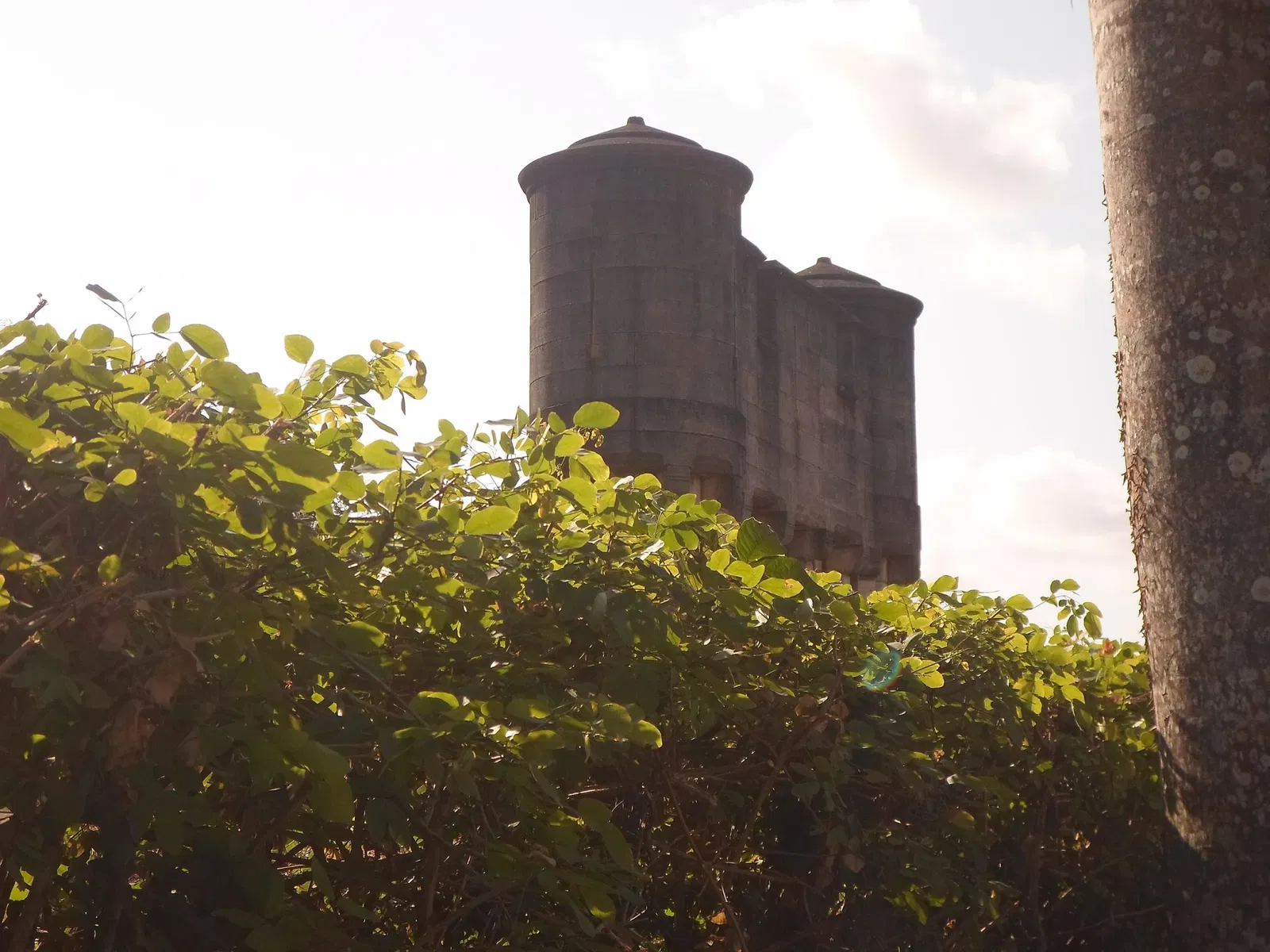 Instituto Ricardo Brennand