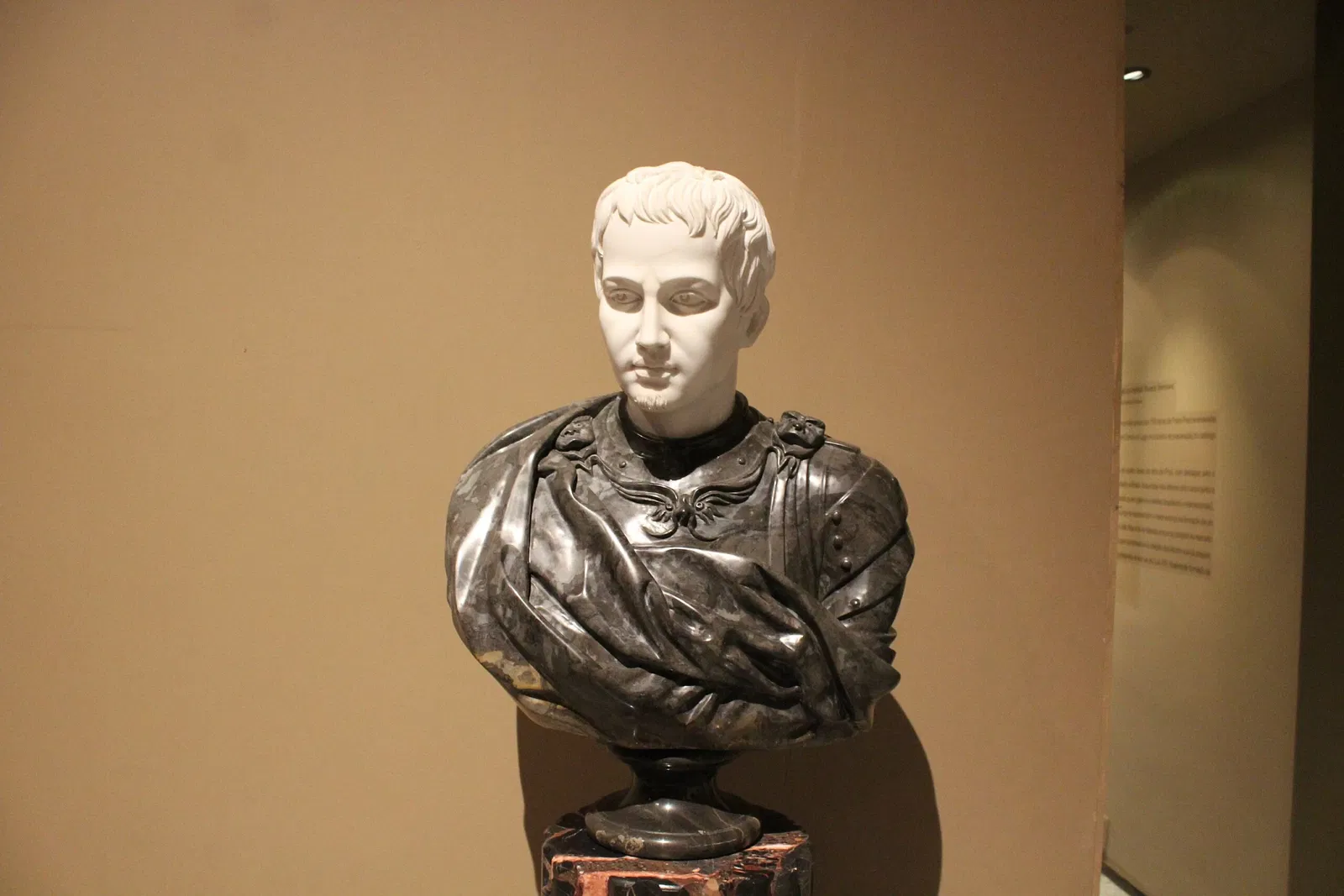 Ricardo Brennand Institute