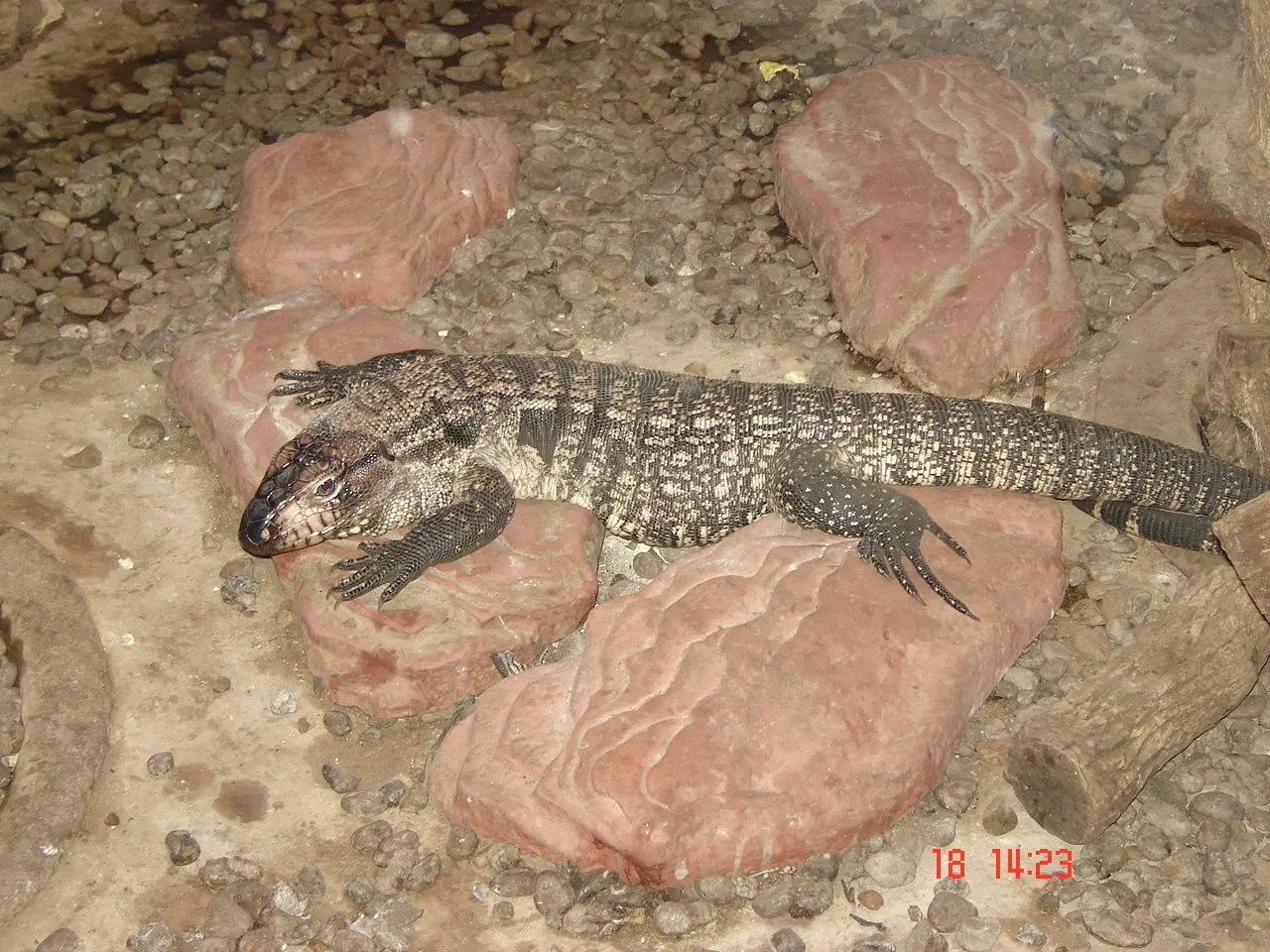 PUCRS Museum of Science and Technology