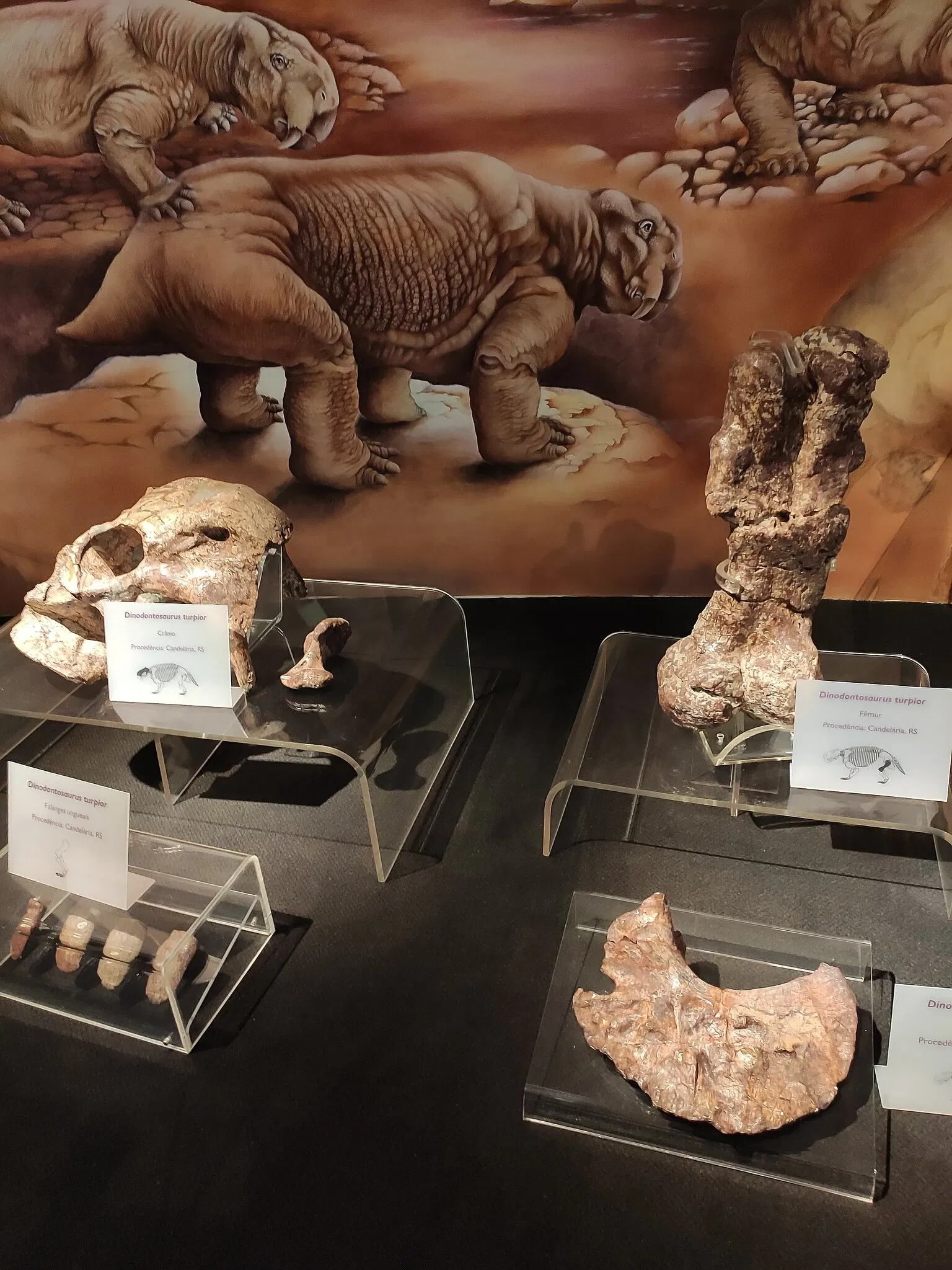 Museo de la Ciencia y la Tecnología PUCRS