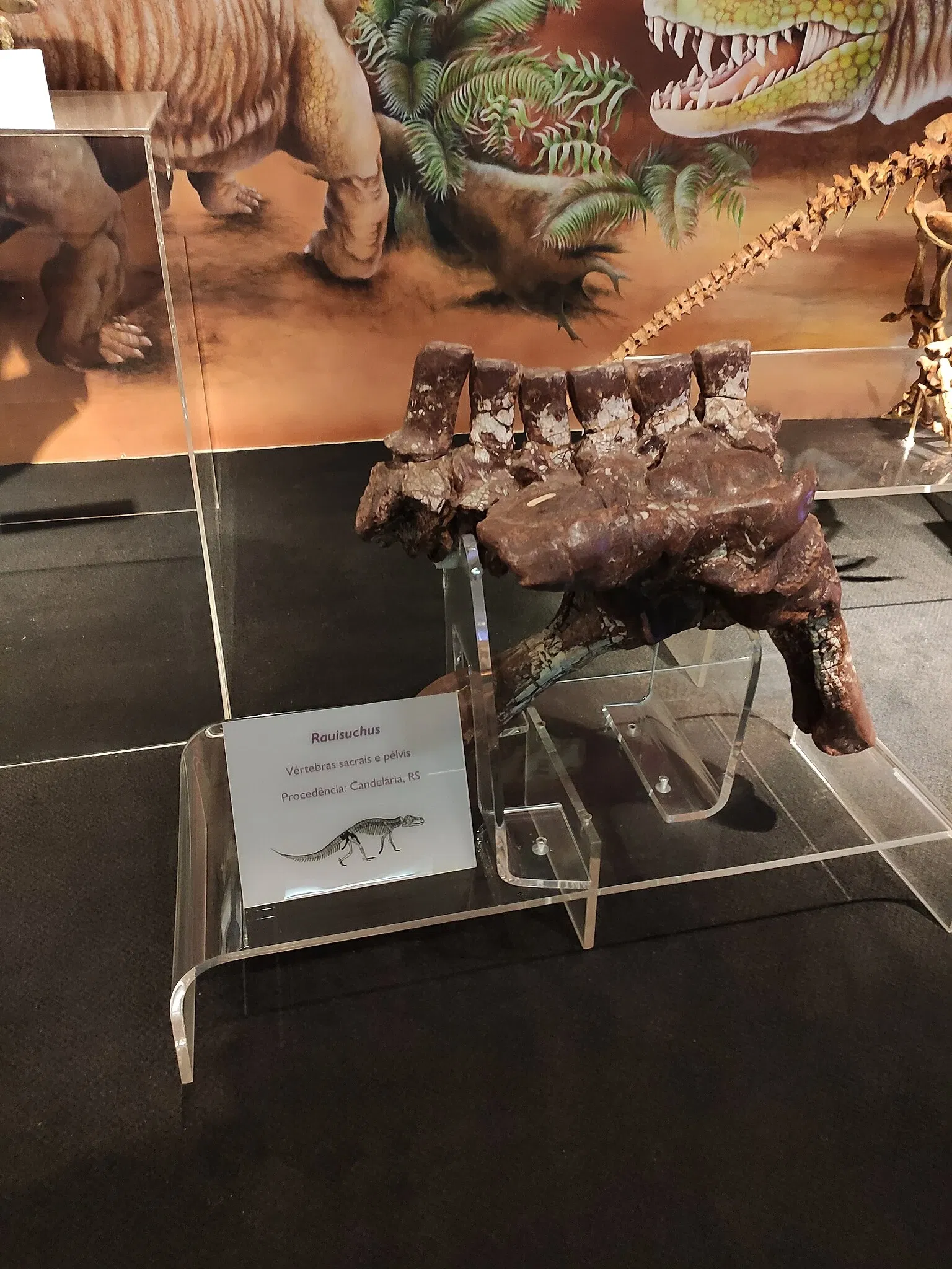 PUCRS Museum of Science and Technology