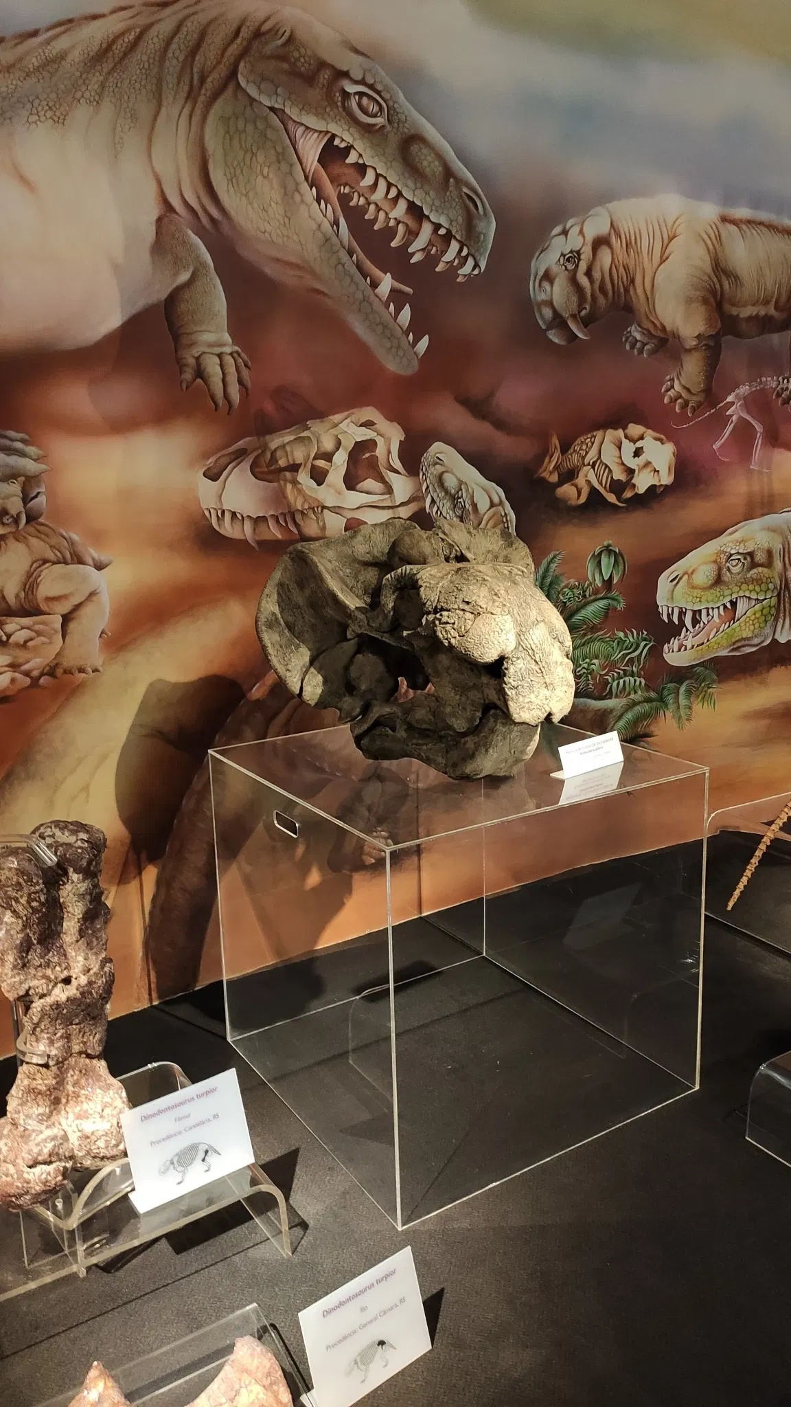 PUCRS Museum of Science and Technology