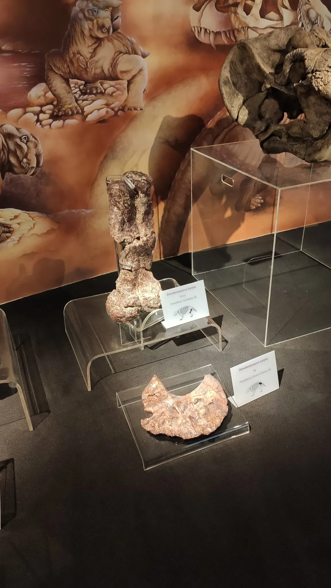 Museo de la Ciencia y la Tecnología PUCRS